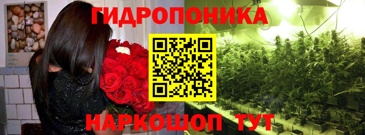 Марихуана SATIVA & INDICA  Вход с VPN  Бердск  Бошки марихуана план  Шишки марихуана White Widow 